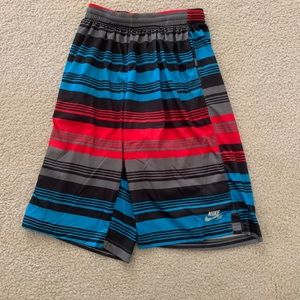 Nike Sb Shorts